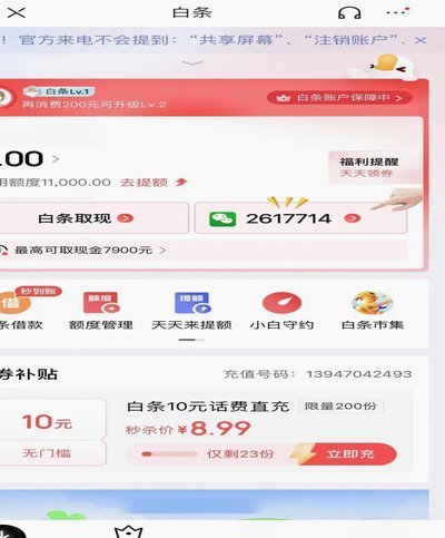 白条贷款额度获取秘密
