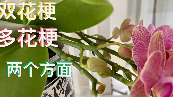 套现花呗有影响吗