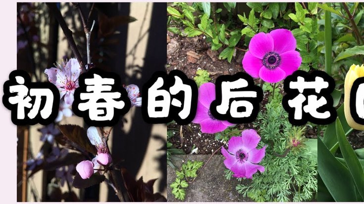 花呗功能调整用户需注意