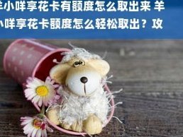 享花卡全功能解析：掌握动态额度与智能消费技巧