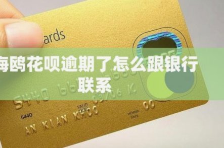 海鸥花呗平台 出来多少钱