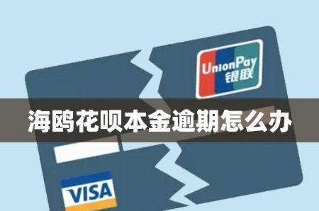 海鸥花呗平台 出来多少钱