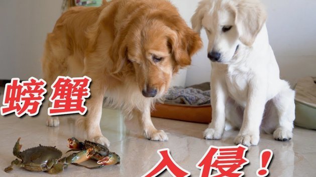拿去花怎么换现金
