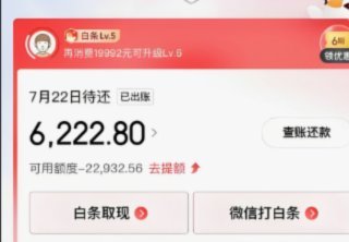 白条套现：风险与应对