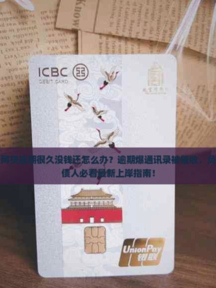100个网贷平台电话
