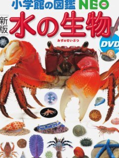 分期乐借款功能，怎么才能彻底关掉？