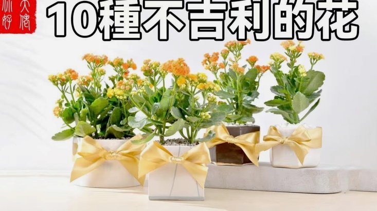 花呗支付平台有哪些