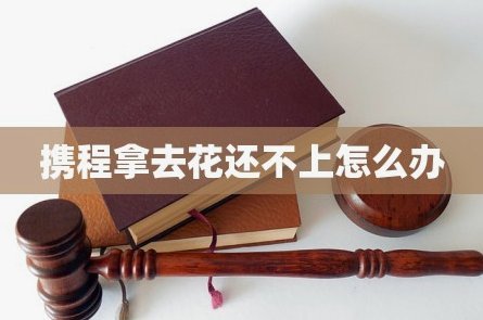 携程拿去花：玩转智能拼车技巧