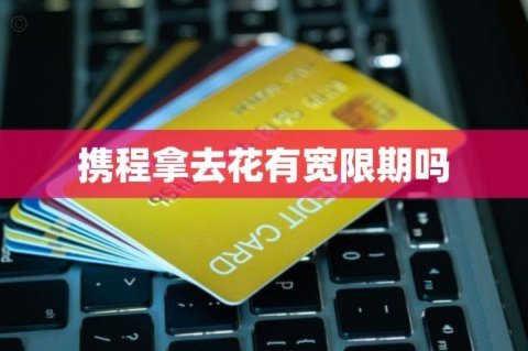 携程上的拿去花怎么用