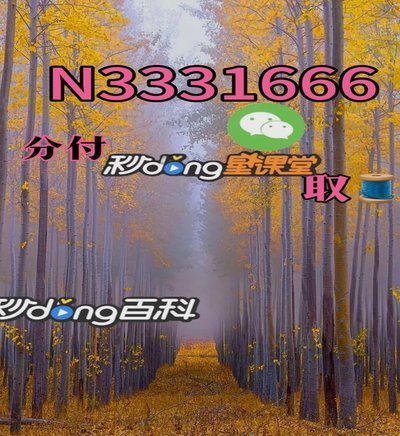 分付额度如何提升？用户必备的实用攻略与注意事项