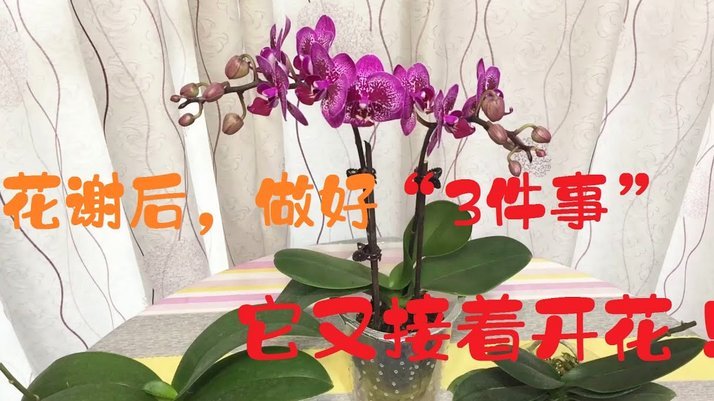 套现花呗手续费多少？隐藏风险需注意
