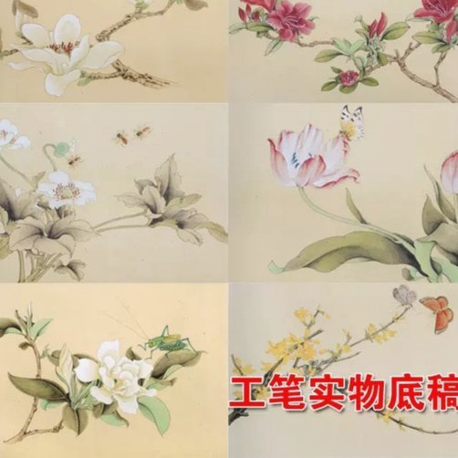 拿去花套现平台