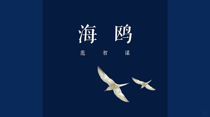 海鸥还款指南：等额本息与财务规划