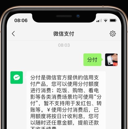 微信上出现分付,却打不开