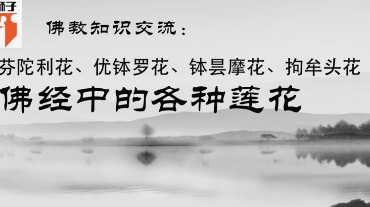 便利套是什么东西 现在用的