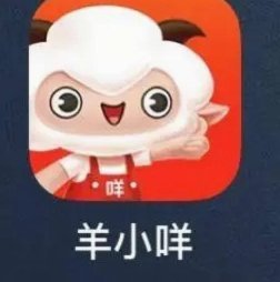 羊小咩还完套路
