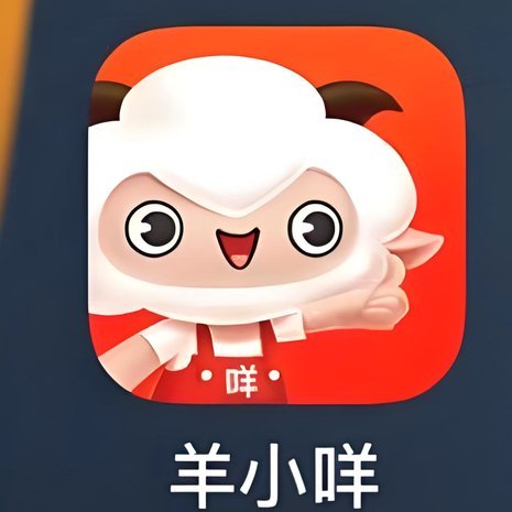 羊小咩的4000元信用消费智慧