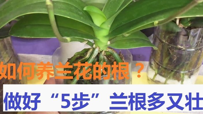 如何高效套现花呗里的钱