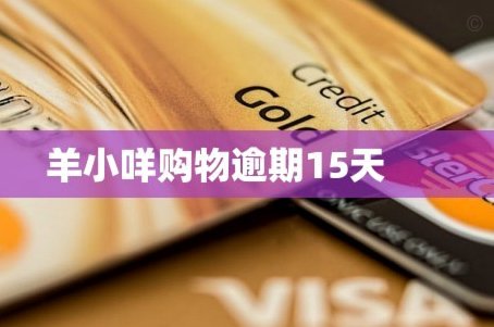 羊小咩多少天不发货可以取消