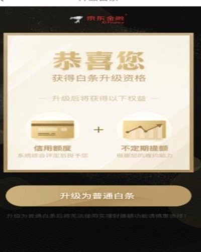 2025白条临时额度调整影响深远