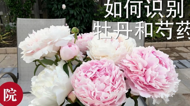 花呗的隐忧：风险与管理挑战
