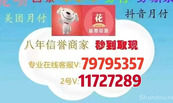 羊小咩便荔卡包多维解码与安全防护解析